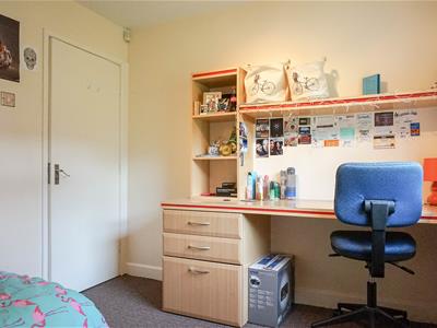 Picture 12